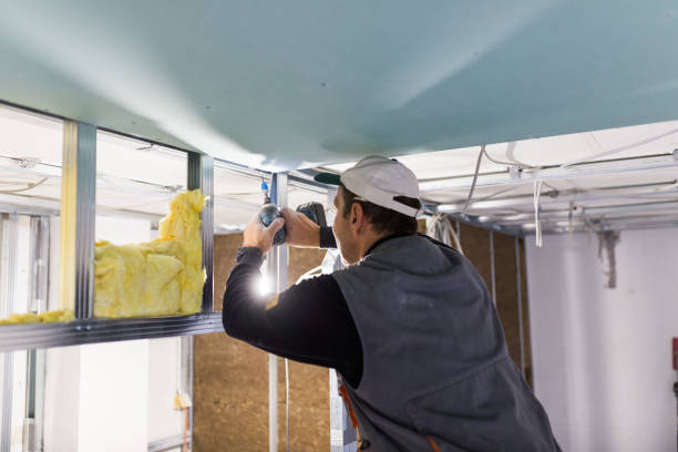 Best Soundproof Insulation Installation  in Wilmington, DE