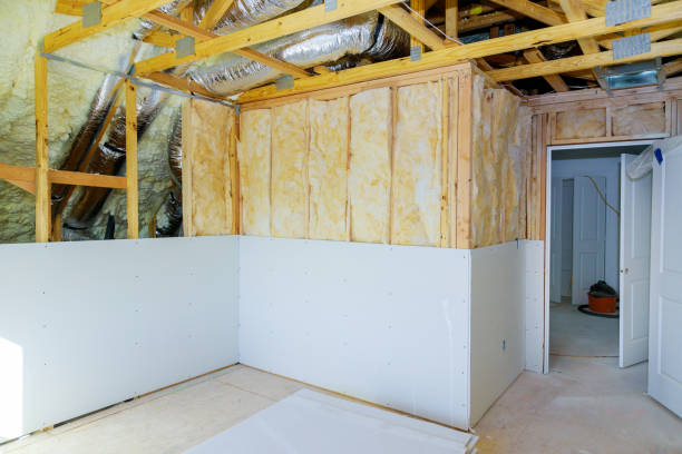 Best Insulation Replacement Services  in Wilmington, DE