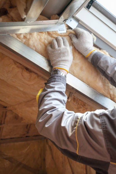 Best Local Insulation Services  in Wilmington, DE